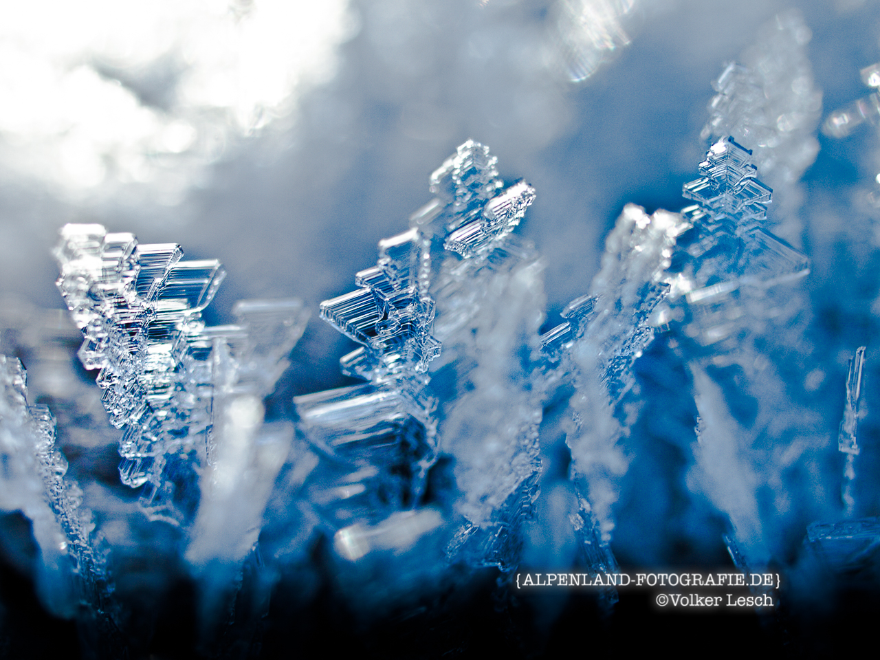 Eiskristalle © Volker Lesch - Alpenland Fotografie