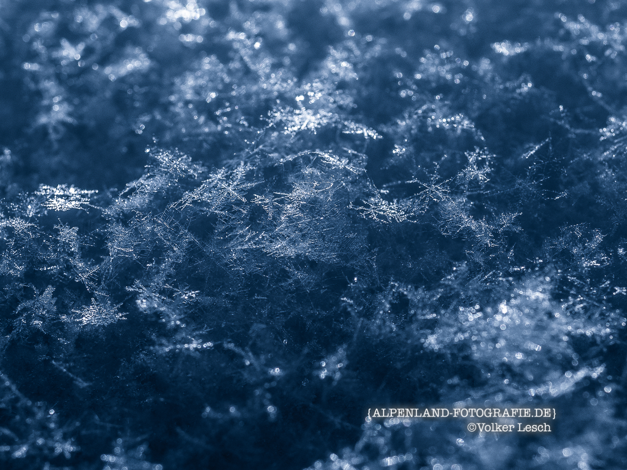 Schneekristalle © Volker Lesch - Alpenland Fotografie