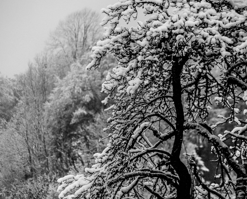 Winter am Mountainfloat © Volker Lesch - Alpenland Fotografie