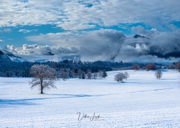 Bergener Moor im Chiemgau - Schnee