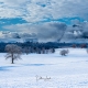 Bergener Moor im Chiemgau - Schnee