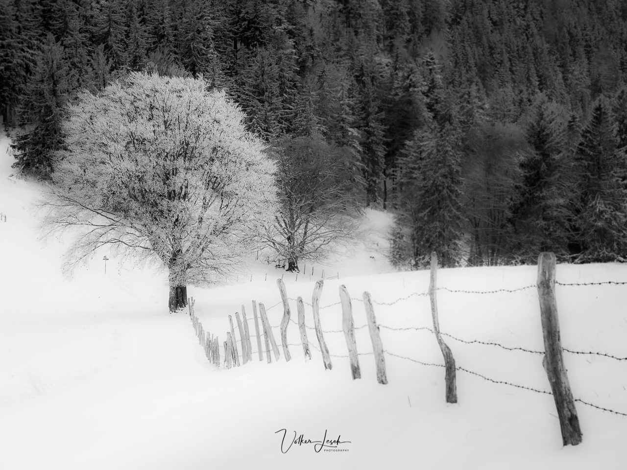 Adersberg Herrenalm Winter