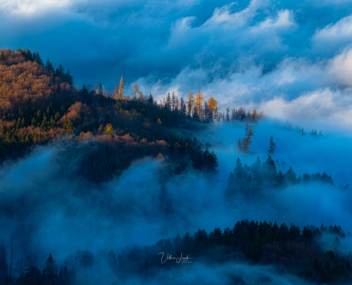 Nebel in den Chiemgauer Alpen