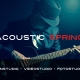 Acoustic Spring - 4K Videoangebot und Fotoshooting für Musiker